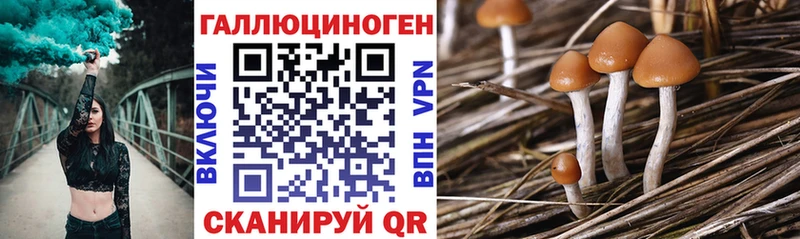 Купить закладки  Белебей  Псилоцибиновые грибы Psilocybe 